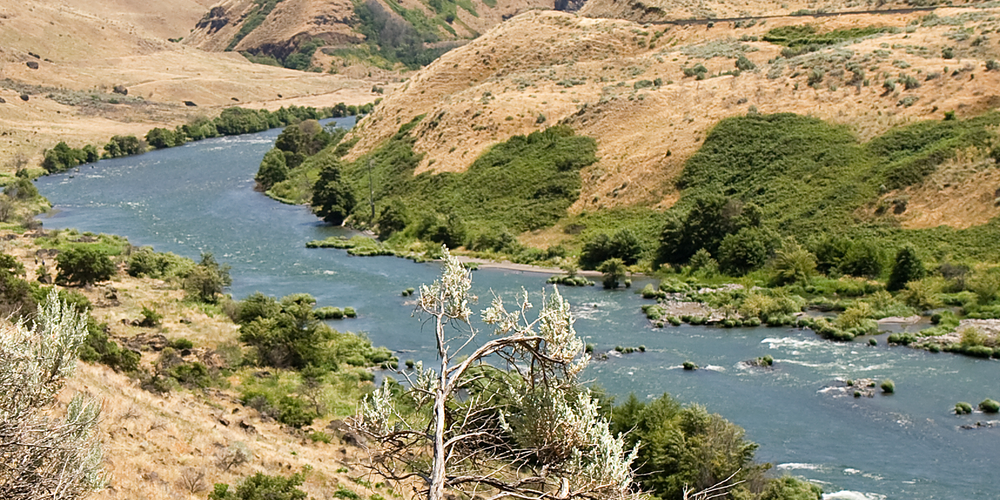 Deschutes River fly fishing reports