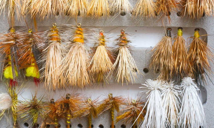 Best flies for Deschutes River Trout.