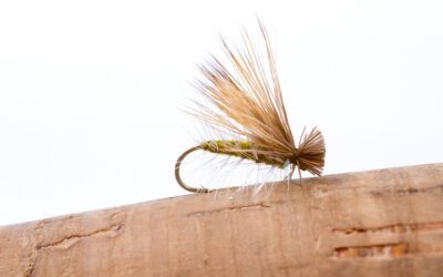 Best Flies for Deschutes River Trout