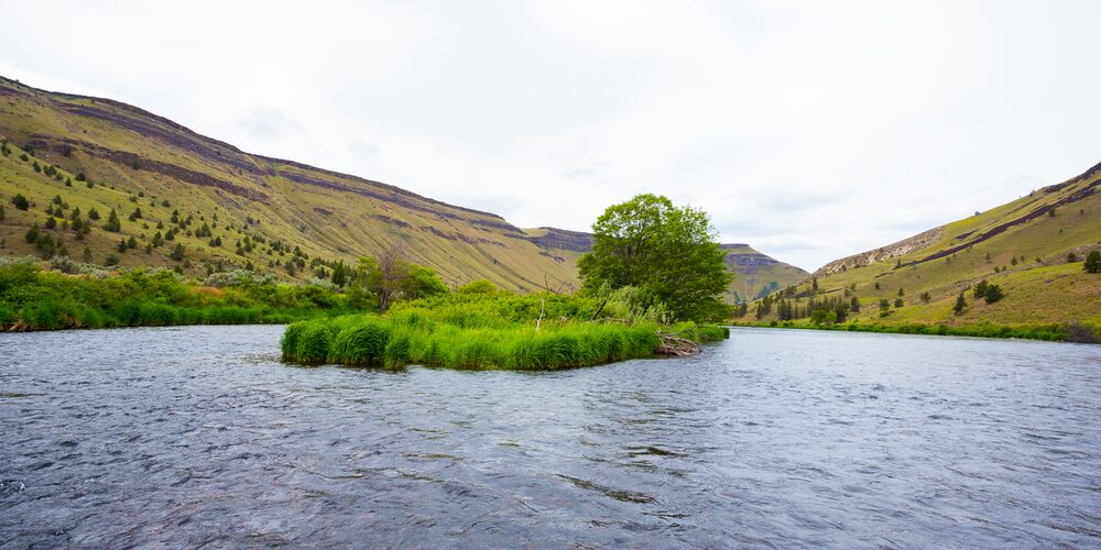 Lower Deschutes River fly fishing