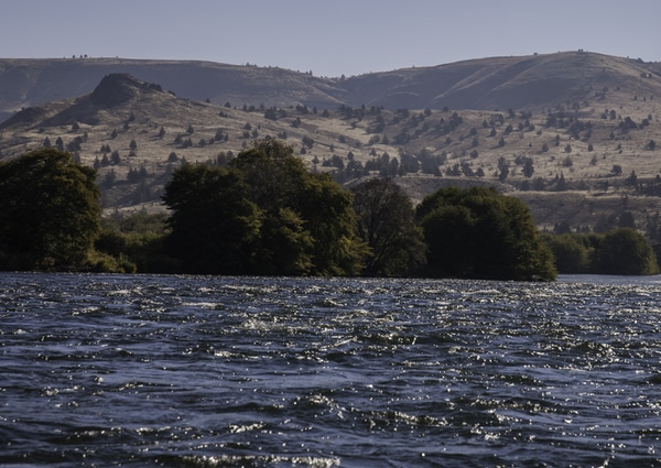 Deschutes River fly fishing float trip, multi-day